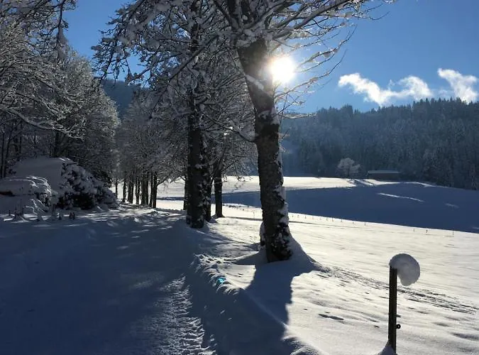 Haus Lechner Apart-hotel