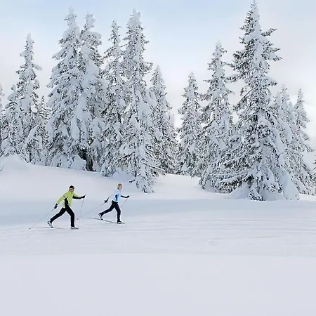 Haus Lechner アパートホテル ザンクト・ヤーコプ・イン・ハウス