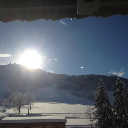 アパートホテル Haus Lechner 4*