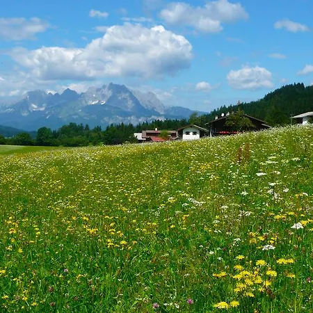 Haus Lechner Lägenhetshotell *